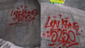 spray your idea as a real graffiti tag on walls