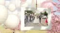 create a blossom wedding or anniversary slideshow within 24 hours