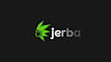 create a custom logo animation intro