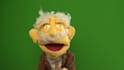 make a video with the best puppet on fiverr