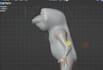 rig 3d model in blender for animation and game engines