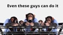 create a short funny monkey video promo or ad