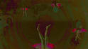 create animated trippy psychedelic lyric music song video