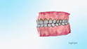 do 3d medical or product animation video and motion graphics