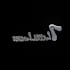 chrome text animation, chrome lettering, 3d chrome animation
