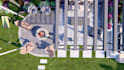 do backyard landscape design, 3d garden and patio plan