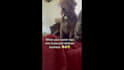 do bulk tiktok shop affiliate video editing