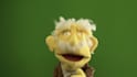 make a video with the best puppet on fiverr