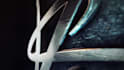 create a cinematic 3d logo animation and intro