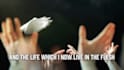 create simple and amazing music lyric video