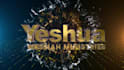 create a professional 3d logo animation and brand intro video