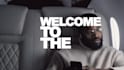 create promo video, short video ads and cinematic intro