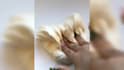 create monetizable relaxing,oddly satisfying , soap cutting asmr videos