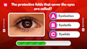 make captivating quiz and trivia question videos for youtube