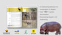 create stunning, engaging book trailer, promo video, free bonus