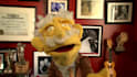 make a video with the best puppet on fiverr