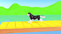create 3d animals animation for kids learning