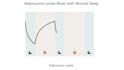 do minimalistic animated explainer video or motion graphics text animation