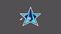 create a 2d logo animation or motion graphics design