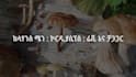 create high end cinematic commercial for social media and TV
