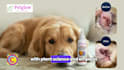 edit engaging talking head, vsl and youtube videos that convert