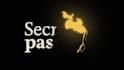 create professional logo animation and motion graphics