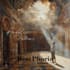 design and animate motion album cover for your music