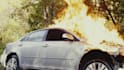 create an epic live action cinematic book trailer for you