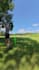 add professional shot tracers to your golf videos