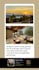 design real estate posts in canva