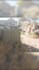edit warzone hand gesture, bo7,  fortnite, fivem, valorant