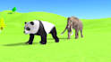 create 3d animals animation for kids learning