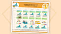 create an animated video ad commercial