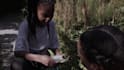 edit a film trailer that closes distribution deals