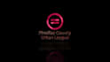 create 3d neon ribbons animation intro for your logo