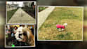 create elegant video slideshow