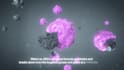 create high quality 3d product animation, commercial videos