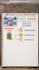 create professional whiteboard animation explainer videos