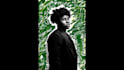 create stunning ai graphics with dall e, midjourny, leonardo ,stable diffusion