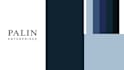 create a custom and unique logo animation for you