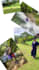 do web banners, animated banners, gifs, ads, and post design