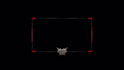 design custom animated facecam overlay