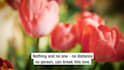 do closed captions, srt file or vtt for your video