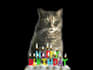 make a happy birthday dog or cat singing video
