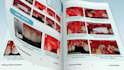 make a professional 3d book promotion video trailer