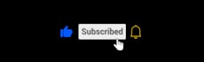 make brilliant youtube subscribe button animation