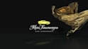 create gold epic car opener intro logo video animation