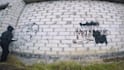 make a real graffiti video with your logo or image