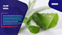 create any beautiful slideshows video adobe after effect
