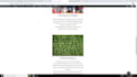 develop a fully functional wordpress website design